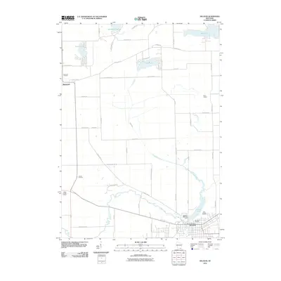 2010 Map of Delavan, 2010 Print