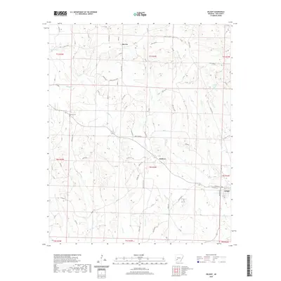 2020 Map of Delight, 2020 Print