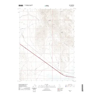 2020 Map of Delle, 2020 Print