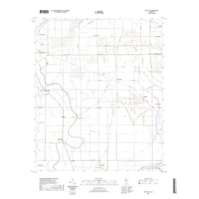 2020 Map of Delta City, 2020 Print