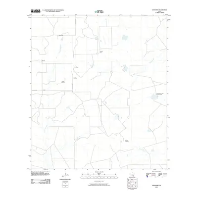 2010 Map of Dentonio, 2010 Print
