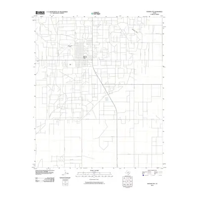 2010 Map of Denver City, 2010 Print