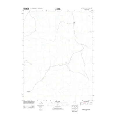2011 Map of Diamond Canyon, 2011 Print