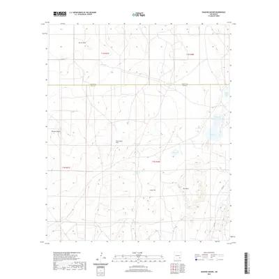 2020 Map of Diamond Mound, 2020 Print