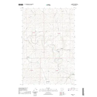 2020 Map of Diamond, 2020 Print