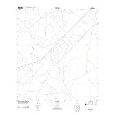 2013 Map of Dilley NE, 2013 Print