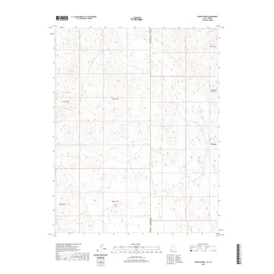 2020 Map of Dodge Spring, 2020 Print