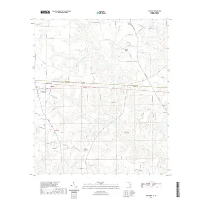 2021 Map of Dogtown, 2021 Print