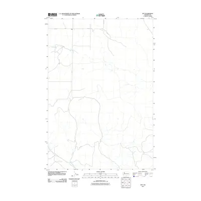 2011 Map of Dot, 2011 Print