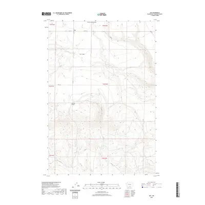 2020 Map of Dot, 2020 Print