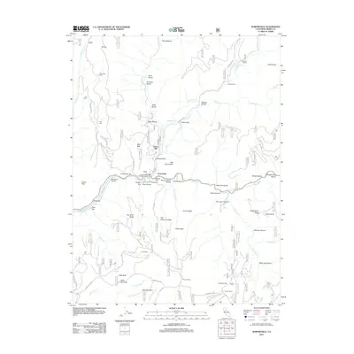 2012 Map of Downieville, 2012 Print
