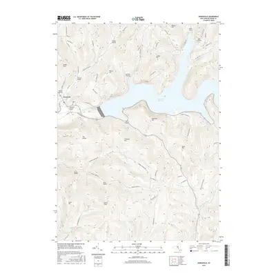 2016 Map of Downsville, 2016 Print