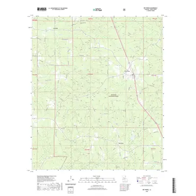 2020 Map of Dry Prong, 2020 Print