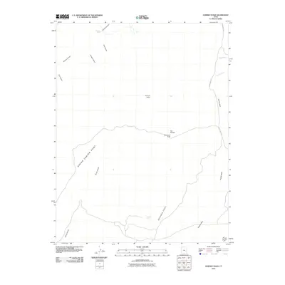 2010 Map of Dubinky Wash, 2010 Print