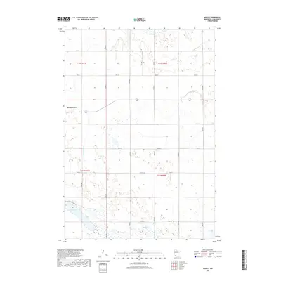 2019 Map of Dudley, 2019 Print