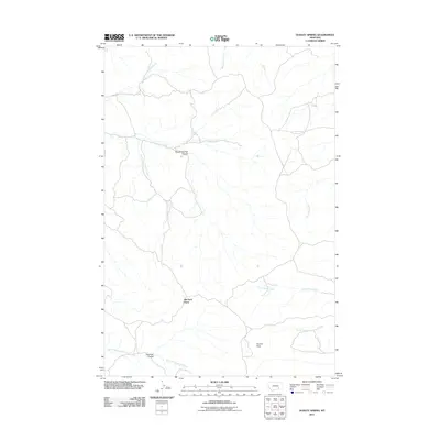 2011 Map of Dudley Spring, 2011 Print