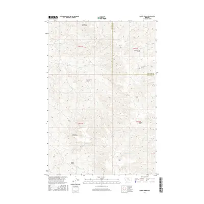 2017 Map of Dudley Spring, 2017 Print