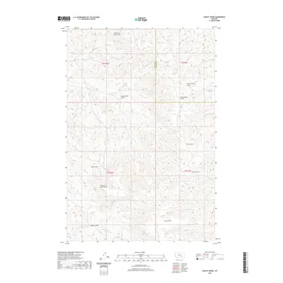 2020 Map of Dudley Spring, 2020 Print