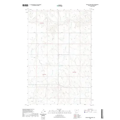 2020 Map of Duplisse Creek North, 2020 Print