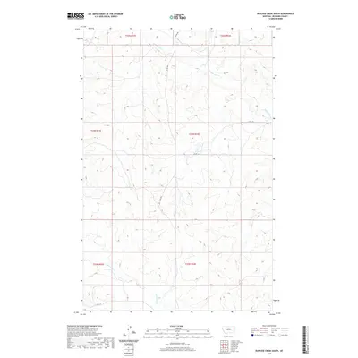 2020 Map of Duplisse Creek South, 2020 Print