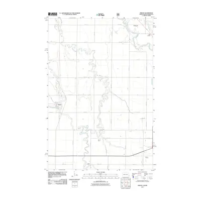 2011 Map of Dwight, 2011 Print