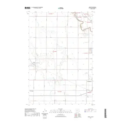 2020 Map of Dwight, 2020 Print