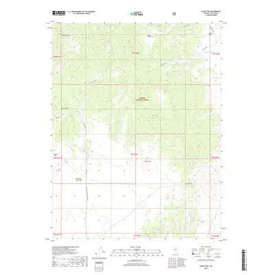 2018 Map of Eagle Pass, 2018 Print