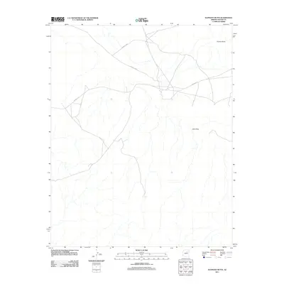 2011 Map of Elephant Butte, 2011 Print