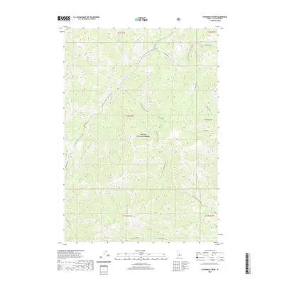 2020 Map of Elevenmile Creek, 2020 Print