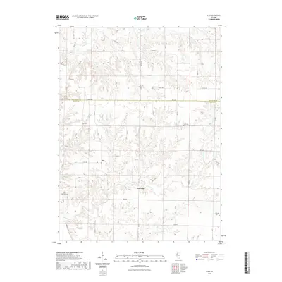 2021 Map of Eliza, 2021 Print