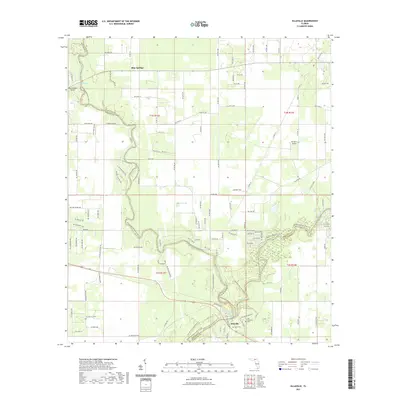 2021 Map of Ellaville, 2021 Print