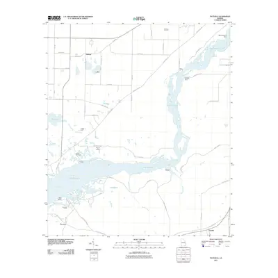 2011 Map of Faceville, 2011 Print