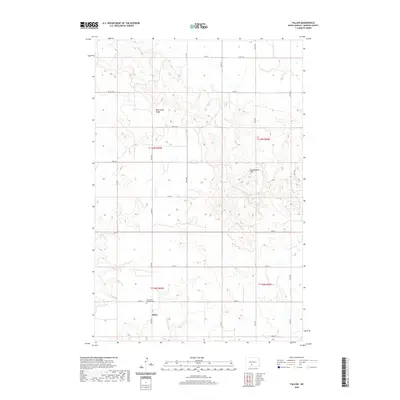 2020 Map of Fallon, 2020 Print