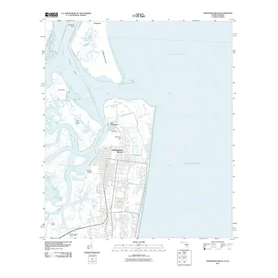 2011 Map of Fernandina Beach, 2011 Print