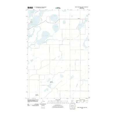 2010 Map of First Crow Wing Lake, 2010 Print