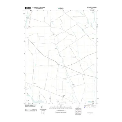 2010 Map of Five Points, 2010 Print