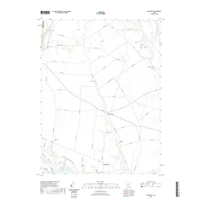 2019 Map of Five Points, 2019 Print