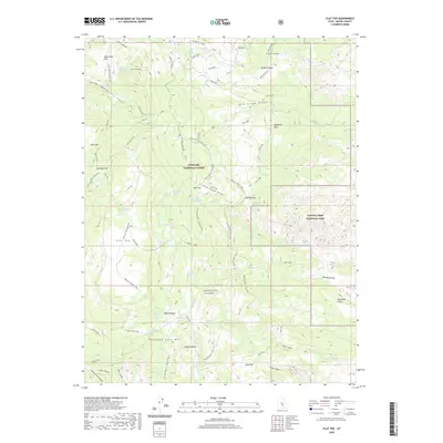 2020 Map of Flat Top, 2020 Print