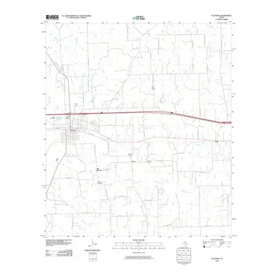 2010 Map of Flatonia, 2010 Print