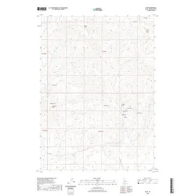 2020 Map of Flint, 2020 Print