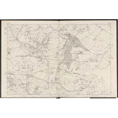 1869 Map of Flintshire XIV, 1871 Print