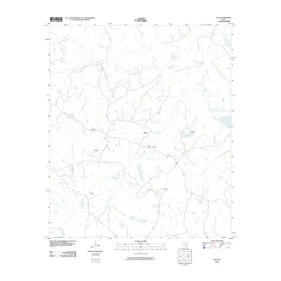 2010 Map of Flo, 2010 Print