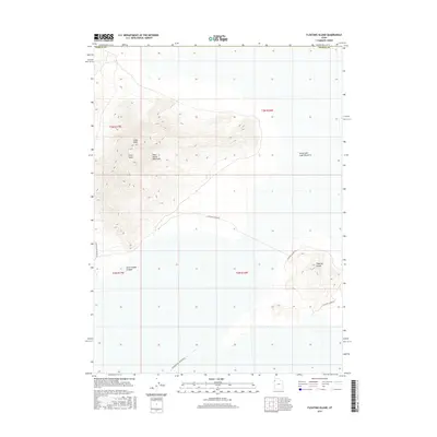 2017 Map of Floating Island, 2017 Print