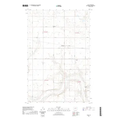 2020 Map of Flora, 2020 Print