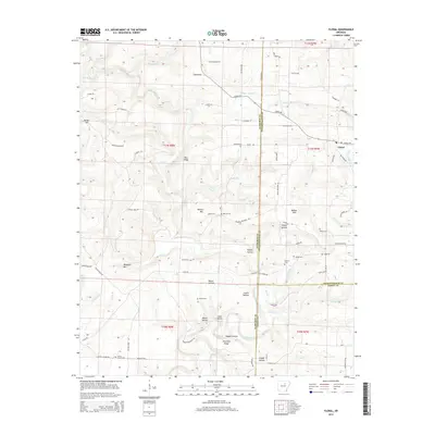 2014 Map of Floral, 2014 Print