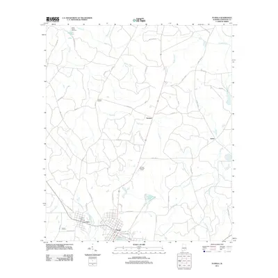 2011 Map of Florala, 2011 Print