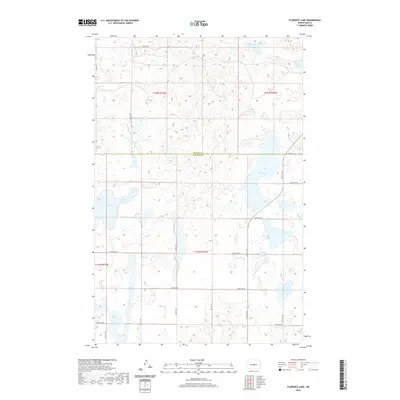 2020 Map of Florence Lake, 2020 Print