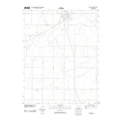 2010 Map of Florence, 2010 Print