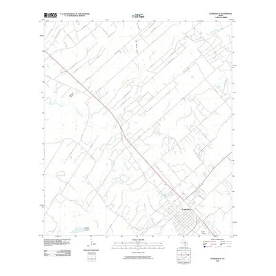 2010 Map of Floresville, 2010 Print