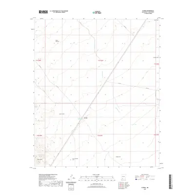 2020 Map of Florida, 2020 Print